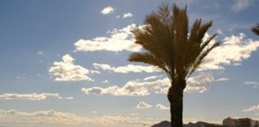 Mini gua de Benidorm no te pierdas ninguno de sus rincones imprescindibles