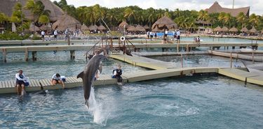 Conocer Xcaret un viaje perfecto para hacerlo con toda la familia