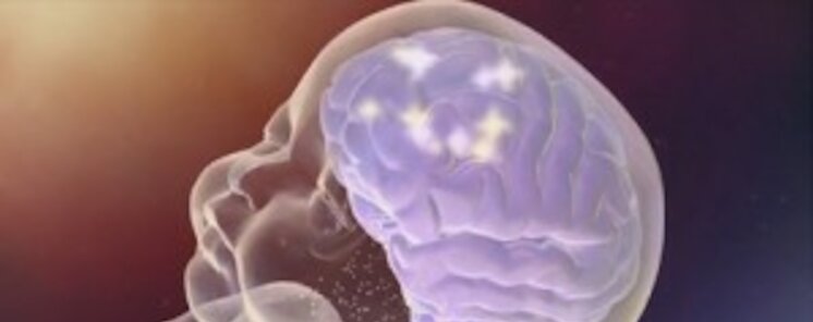La conducta impulsiva de los nios se relaciona con su conectividad cerebral