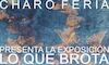 La Enredadera en Mrida abre temporada de exposiciones con Lo que brota con Charo Feria