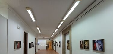 La exposicin Yo quiero un novio aceitunero de Luca Herrero llega a Plasencia