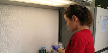 Reprobeb un proyecto liderado por IERA para producir bebidas que mejoren la fertilidad Reprobeb un proyecto liderado por IERA para producir bebidas que mejoren la fertilidad