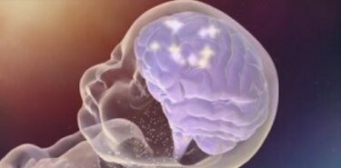 La conducta impulsiva de los nios se relaciona con su conectividad cerebral La conducta impulsiva de los nios se relaciona con su conectividad cerebral
