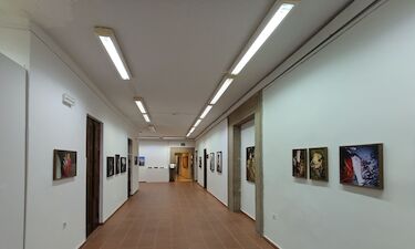 La exposición 'Yo quiero un novio aceitunero' de Lucía Herrero llega a Plasencia