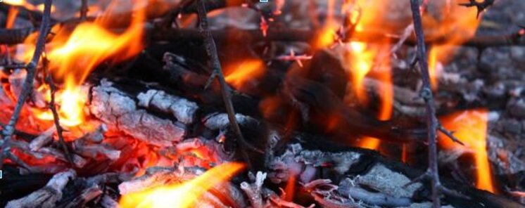Recomendaciones para elegir la barbacoa ideal