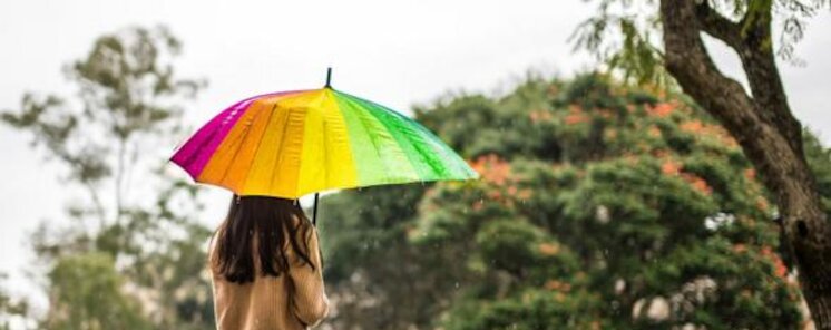 La Depresin causas y soluciones